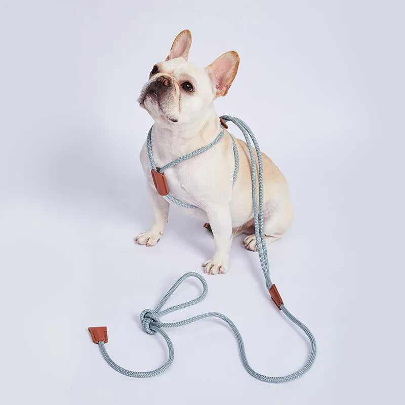 Nylon Dog Harness Leash For Medium Large Dogs Leads Pet Training