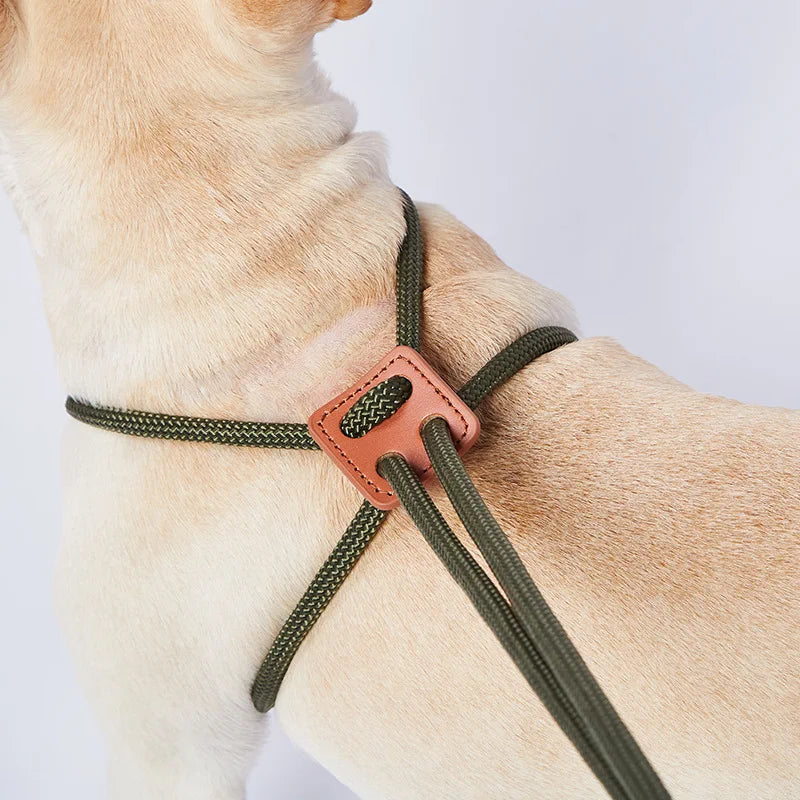 Nylon Dog Harness Leash For Medium Large Dogs Leads Pet Training