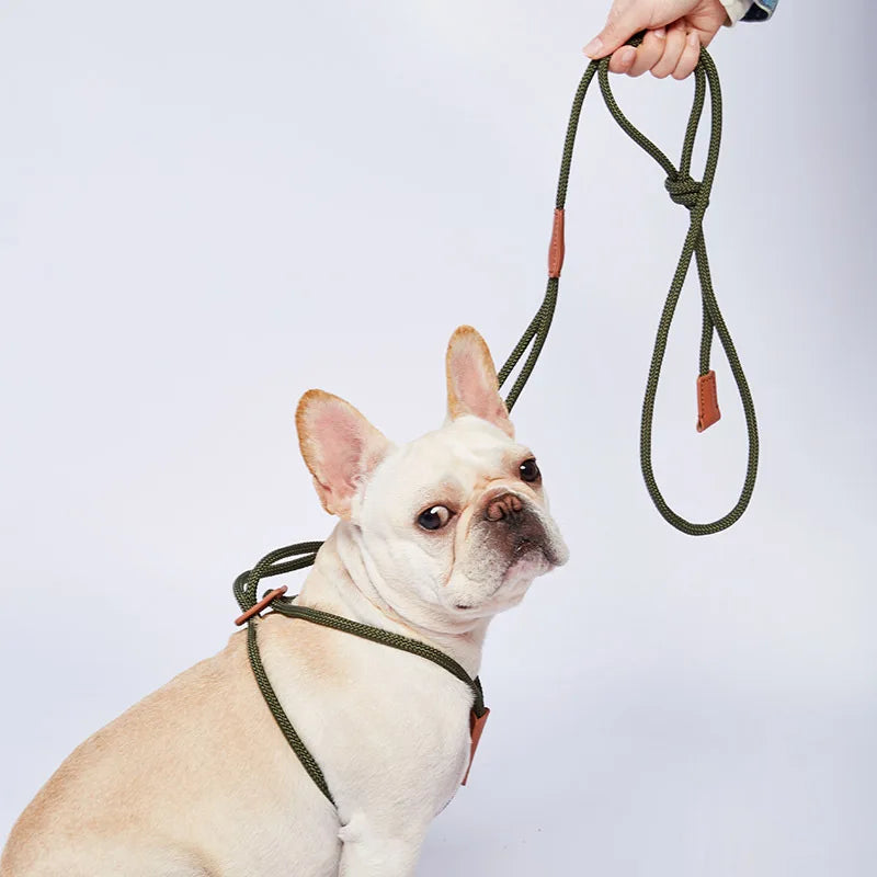 Nylon Dog Harness Leash For Medium Large Dogs Leads Pet Training