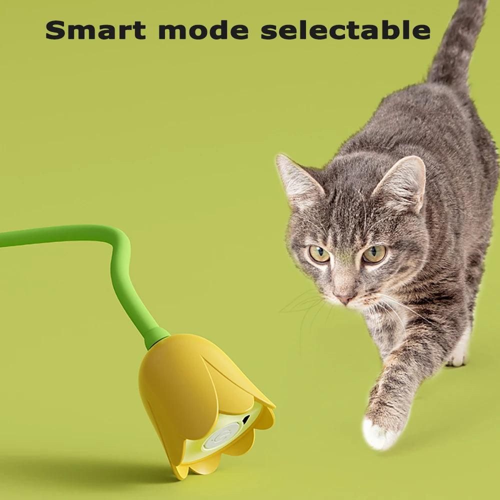 Interactive Cat Toys USB Electric Intelligent Rolling Ball Toy Cats