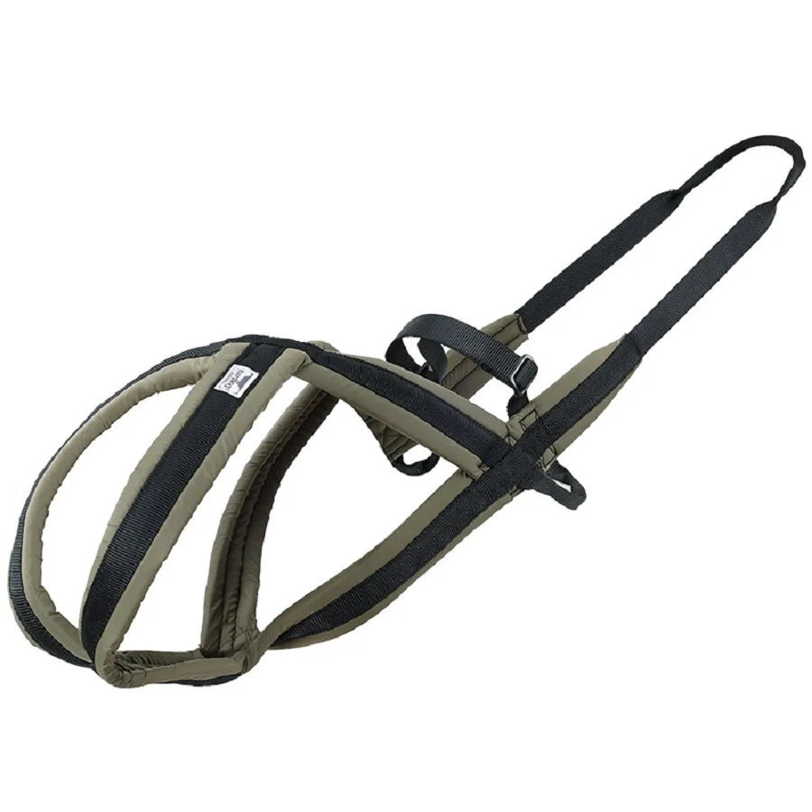 Outdoor Dog Harness and Leash Set for Medium and Large Dogs, Suitable