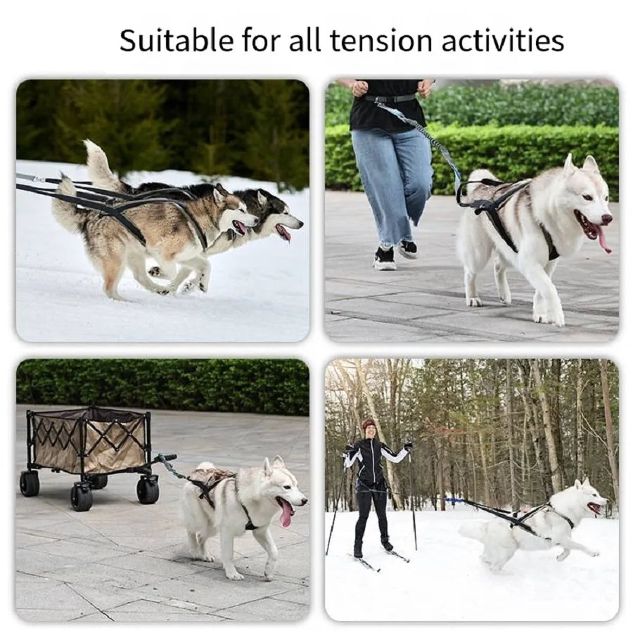 Outdoor Dog Harness and Leash Set for Medium and Large Dogs, Suitable