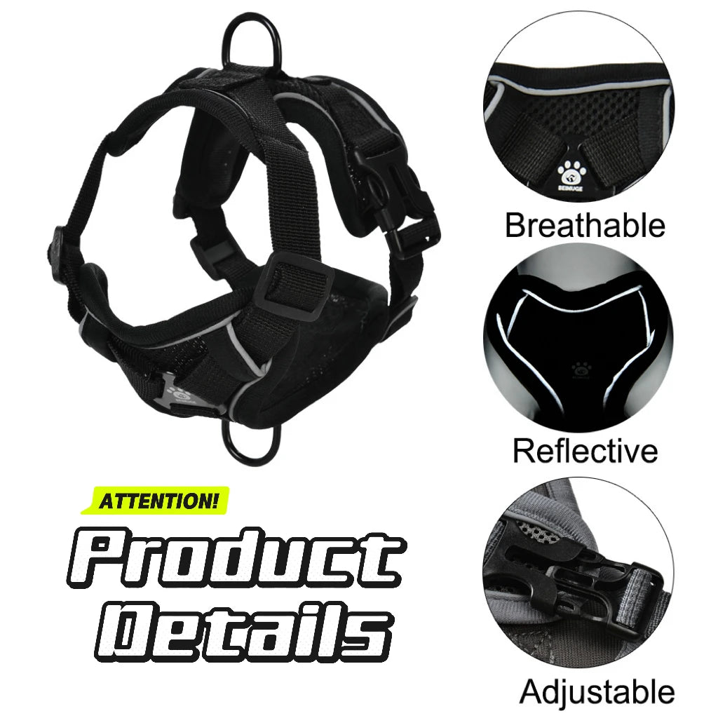 Dog Harness Leash Set For Small Medium Dogs Cat Hiking Adjustable