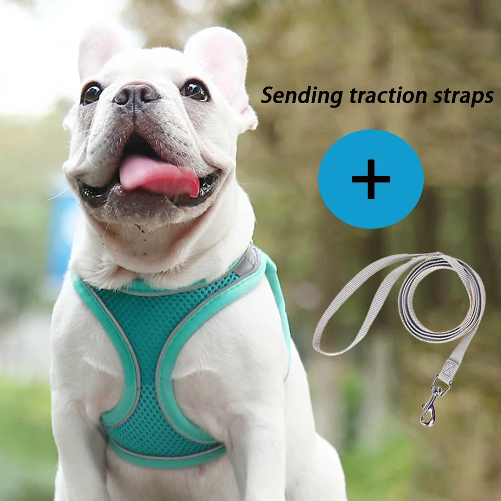 Dog Harness Leash Set for Small Dogs Adjustable Puppy Cat Harness