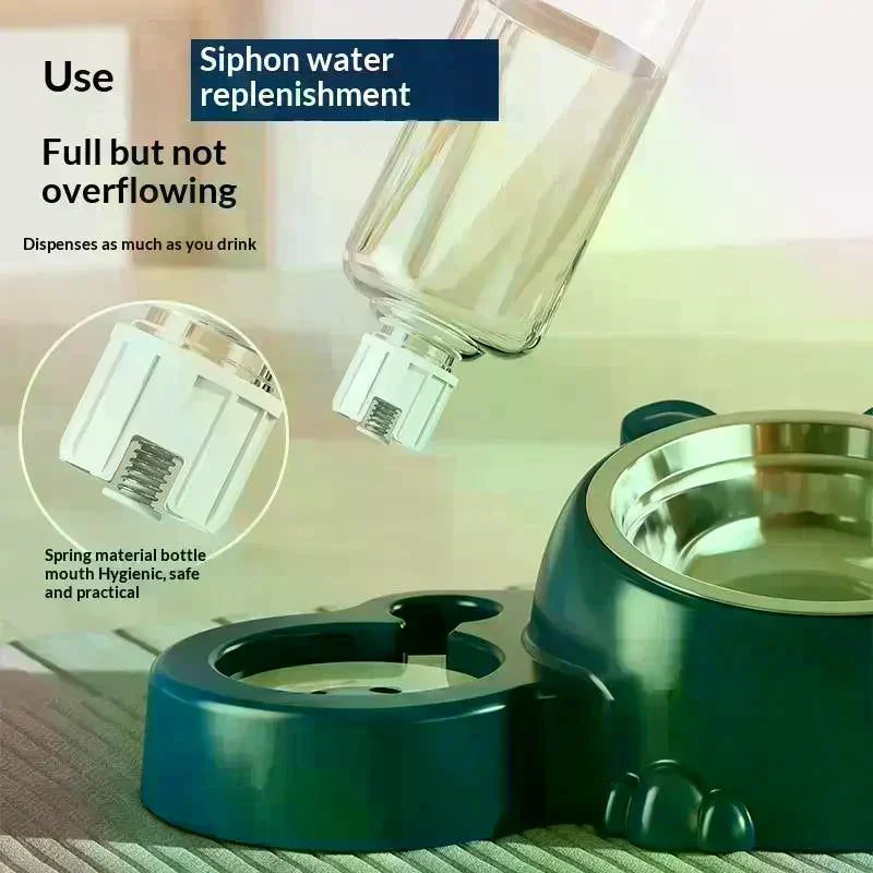 Pet Bowl 2-in-1 Auto Water Feeder, Tilted Elevated Cat Dog Bowl For