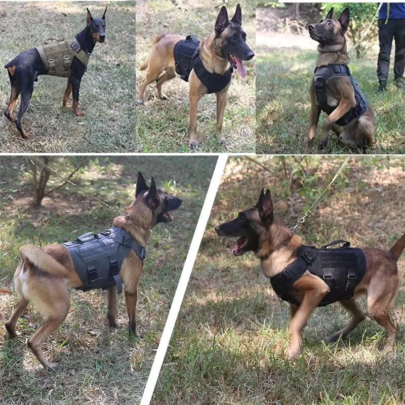 Large Dog Collar Dog Harness And Leash Set Pet Vest Tactical German
