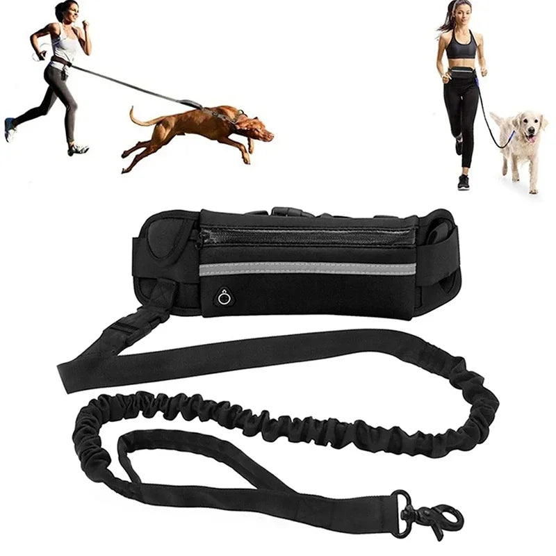 Hands Free Dog Leash for Running Walking Reflective Leash with Waist