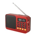 Portable FM Radio Portable Bluetooth Speaker with LED Light support