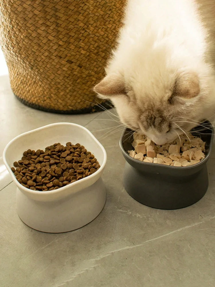 1Pc Pet bowl, water and food feeder, for cat and small dog