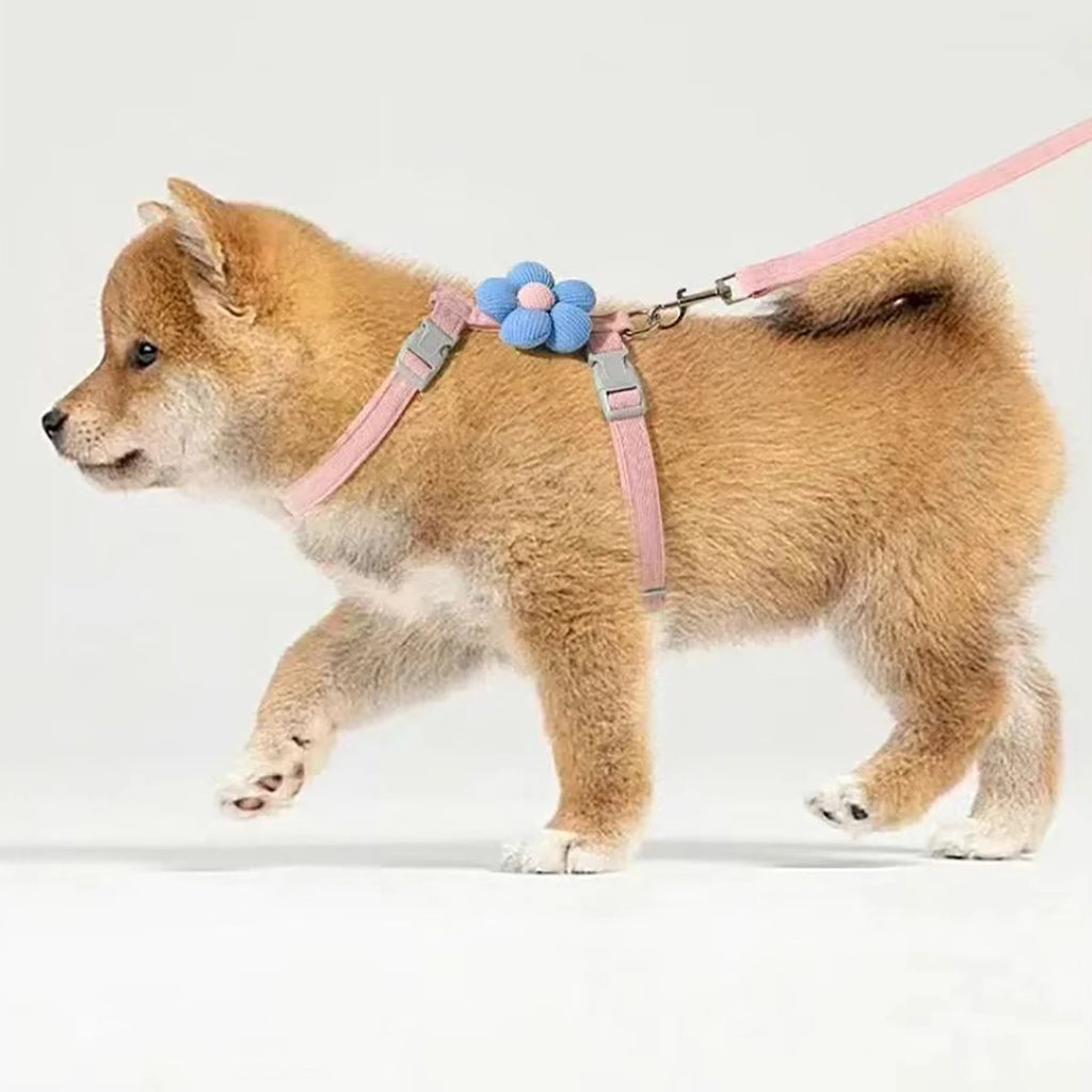 Cat Harness and Leash Sets Adjustable Dog Harness for Small Dog Leash