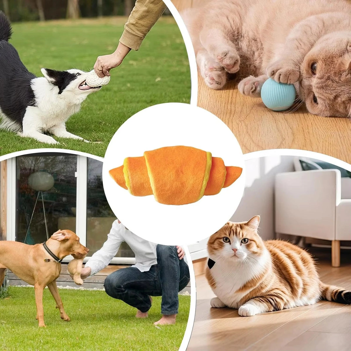 Dog Chew Toys - Interactive Puppy Lightweight Pet Toy Indoor and