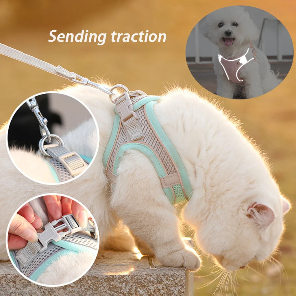Dog Harness Leash Set for Small Dogs Adjustable Puppy Cat Harness