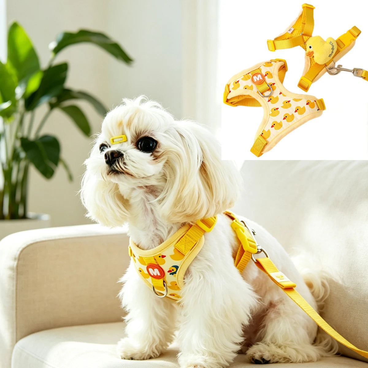 Small Puppy Harness and Leash Set Harnesses for Dogs Strap Dog Collar