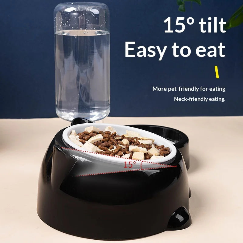 Pet Bowl 2-in-1 Auto Water Feeder, Tilted Elevated Cat Dog Bowl for