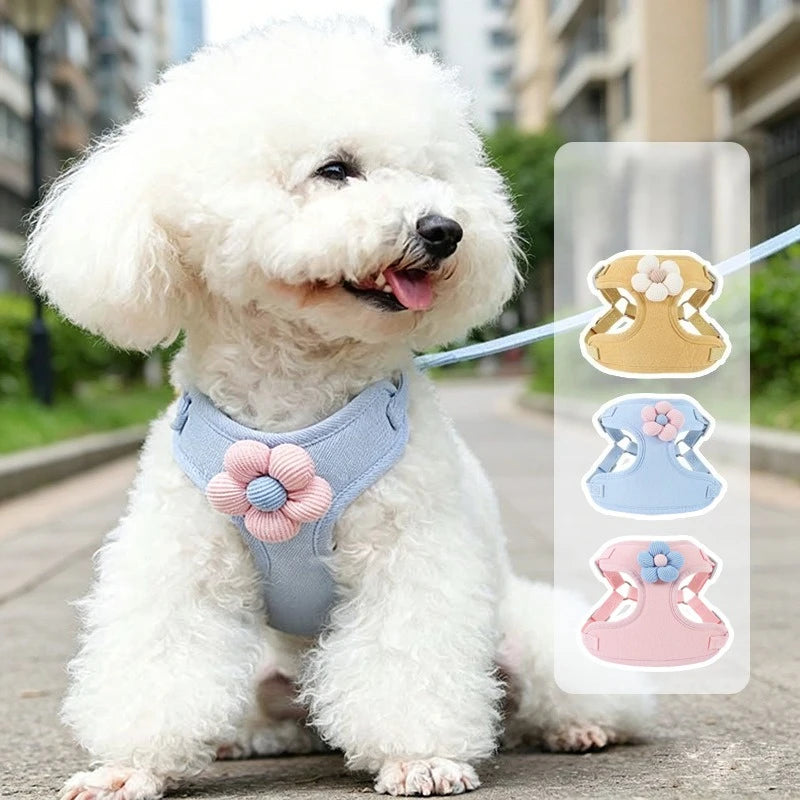 Dog Harness with 1.5m Leash Set Adjustable Pet Harness for Puppy Cats