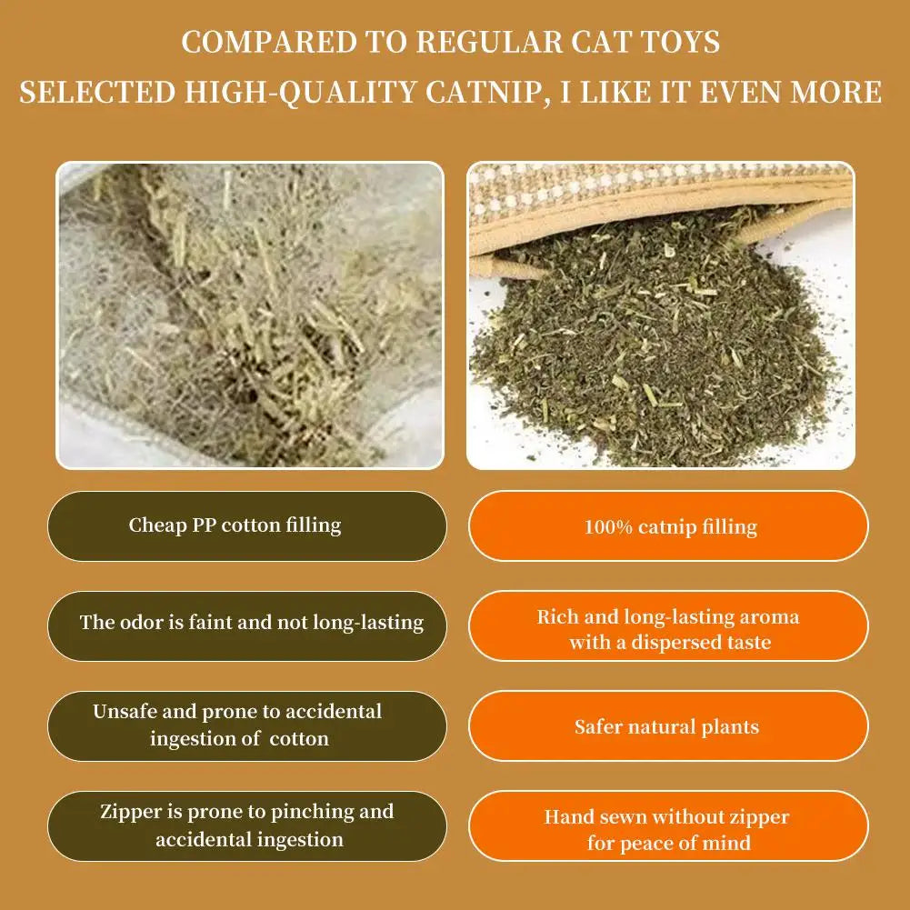 Catnip Cat Toy Plush Interactive Toy For Indoor Cats Scratch