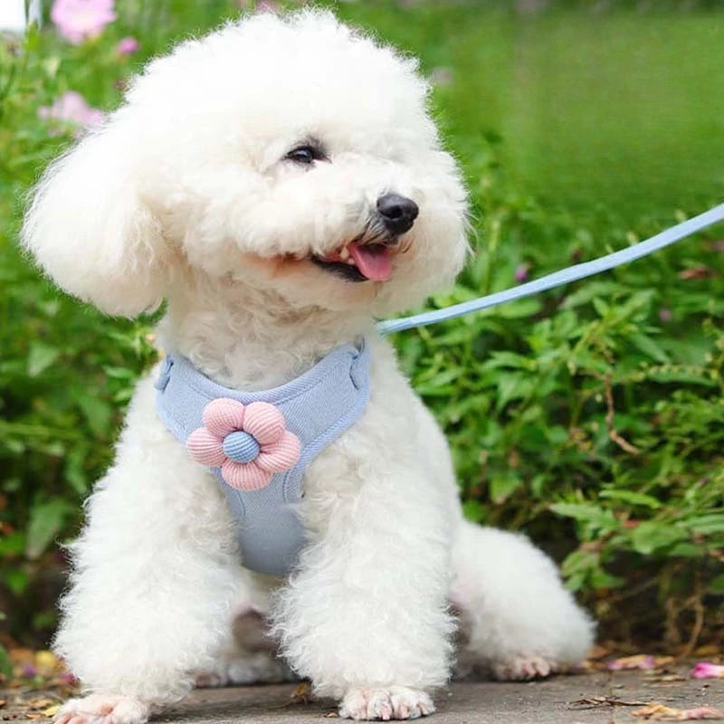Dog Harness with 1.5m Leash Set Adjustable Pet Harness for Puppy Cats