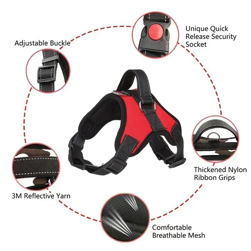 Dog Harness And Leash Set No Pull Adjustable Comfortable with Easy
