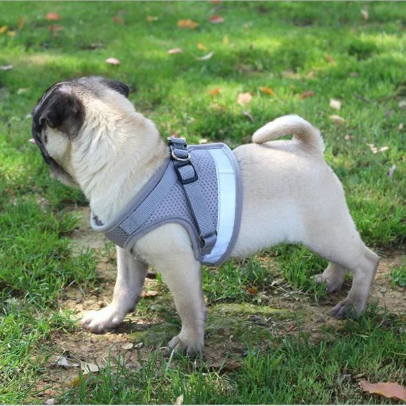 Vest Harness Leash Adjustable Mesh Vest Dog Harness Collar Chest