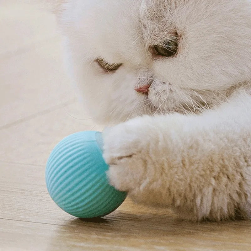 Cat Interactive Ball Smart Pet Cat Toys Indoor Automatic Rolling