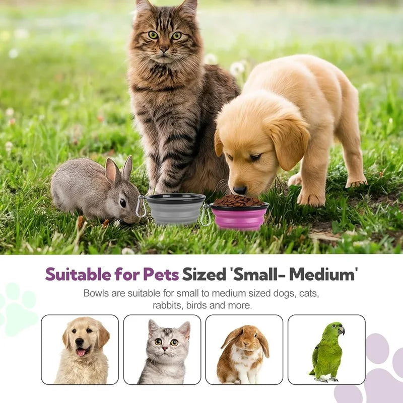 Folding Portable Silicone Dog Feeder Bowl 2 In 1 Pet Dispenser