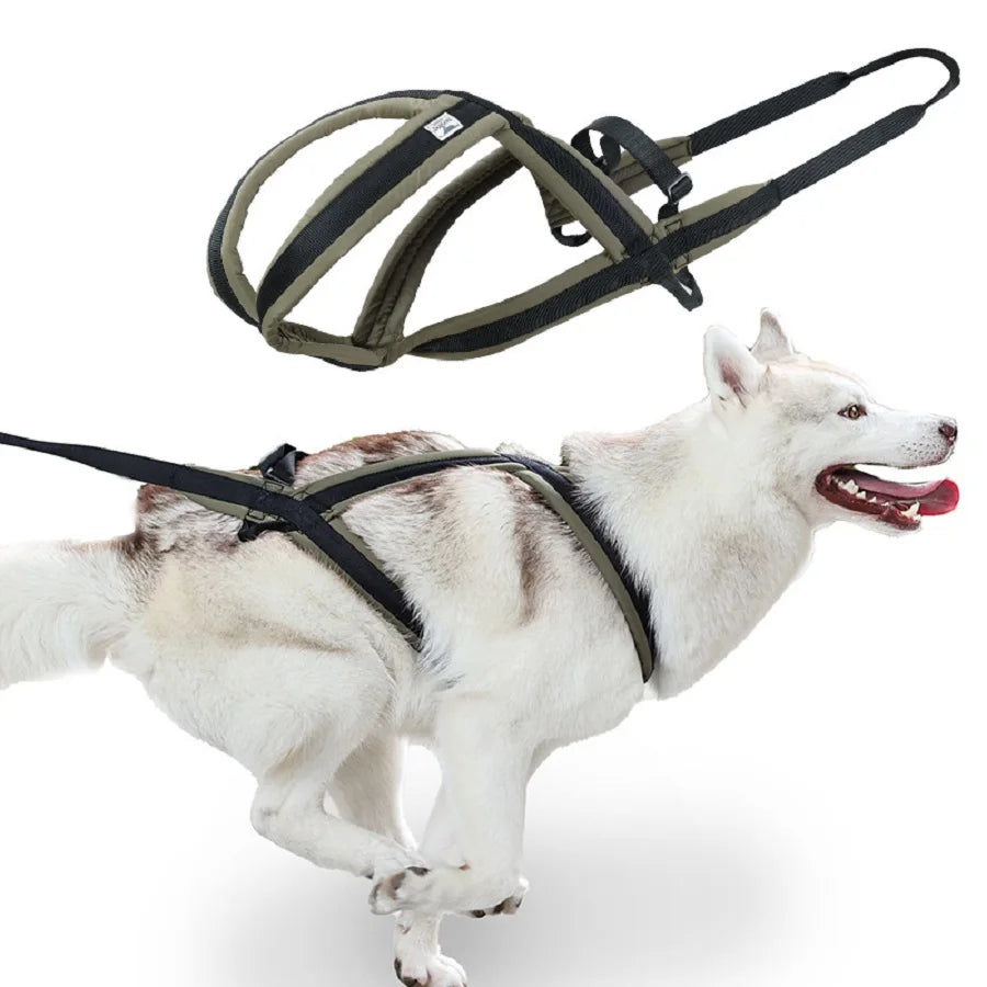 Outdoor Dog Harness and Leash Set for Medium and Large Dogs, Suitable