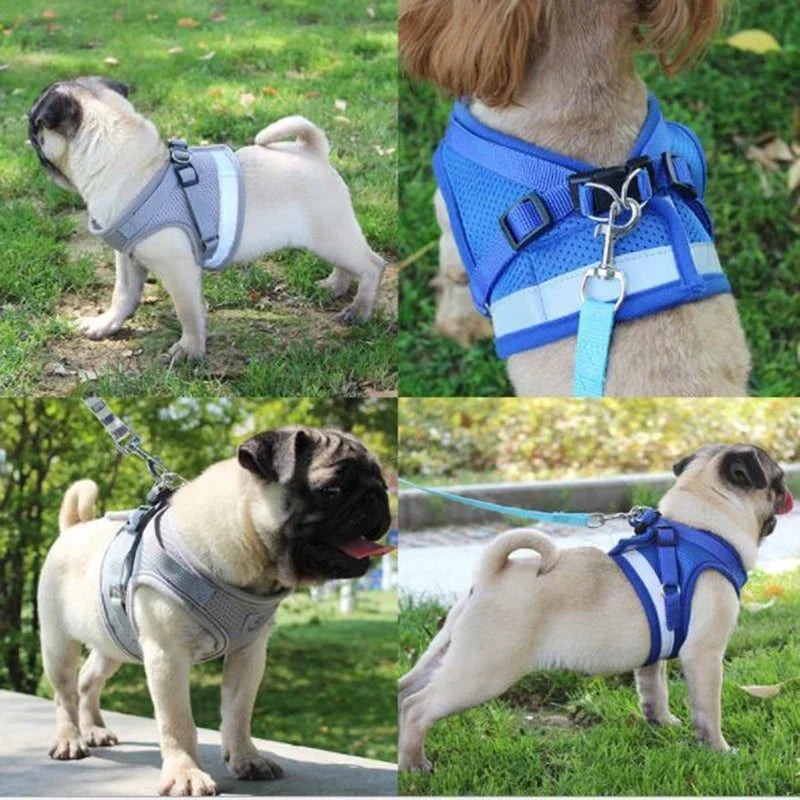 Vest Harness Leash Adjustable Mesh Vest Dog Harness Collar Chest