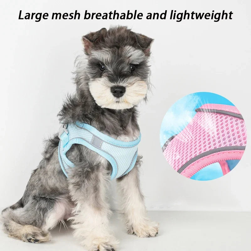 Dog Harness Leash Set for Small Dogs Adjustable Puppy Cat Harness