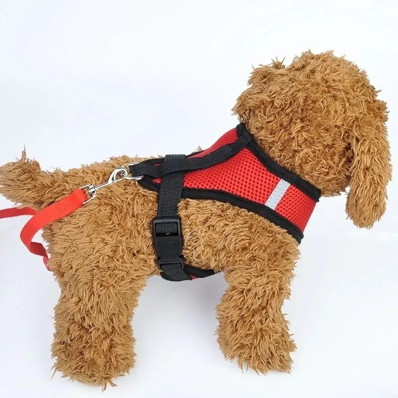 Cat Harness Vest Walking Lead Leash for Puppy Dogs Collar Polyester