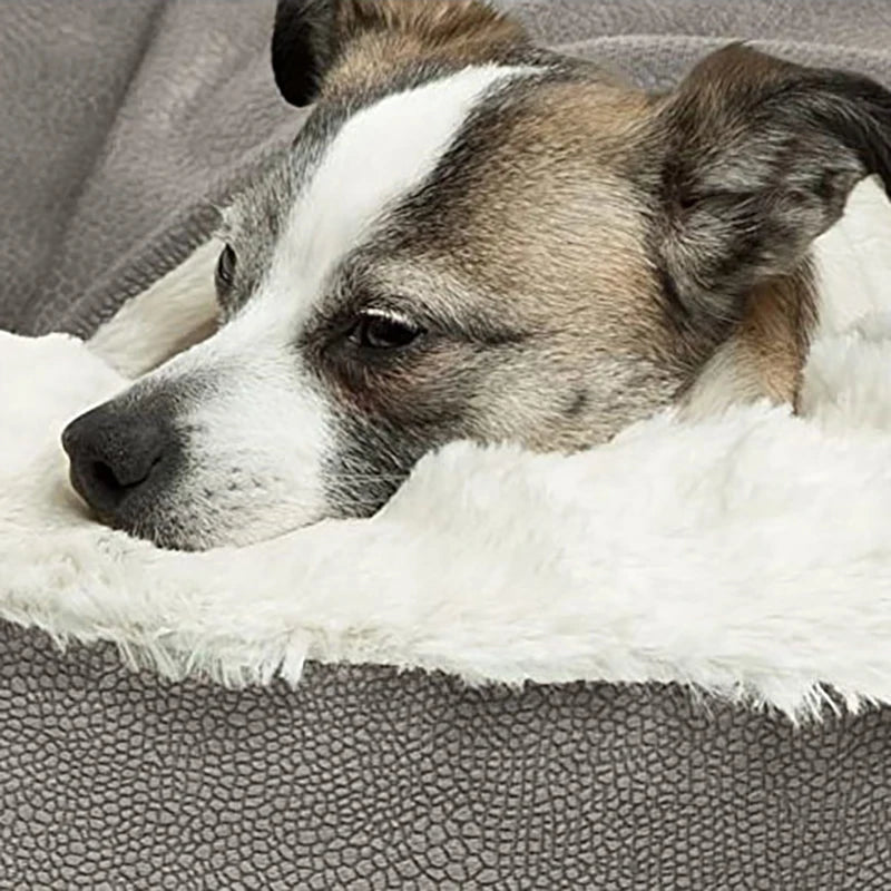 Hooded Orthopedic Dog Bed