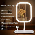 LED Vanity Mirror with Stand
