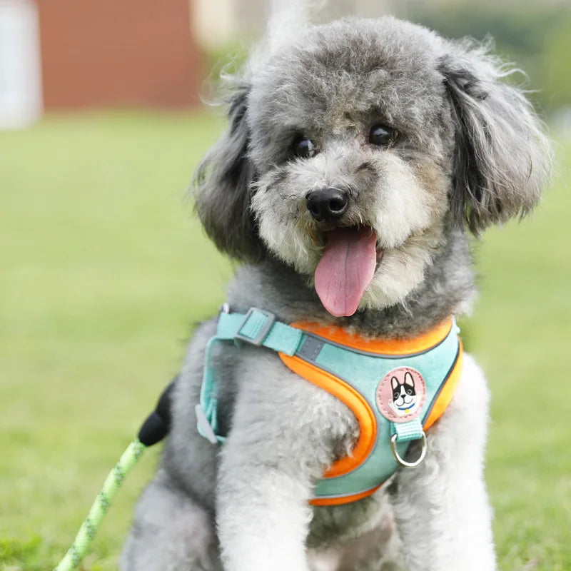 Dog Harness Leash Sets Adjustable Dog Harness for Small Dog Leash