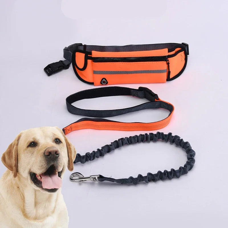 Hands Free Dog Leash for Running Walking Reflective Leash with Waist