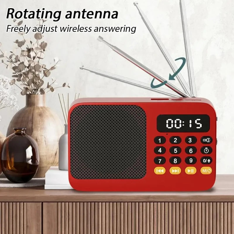 Portable FM Radio Portable Bluetooth Speaker with LED Light support
