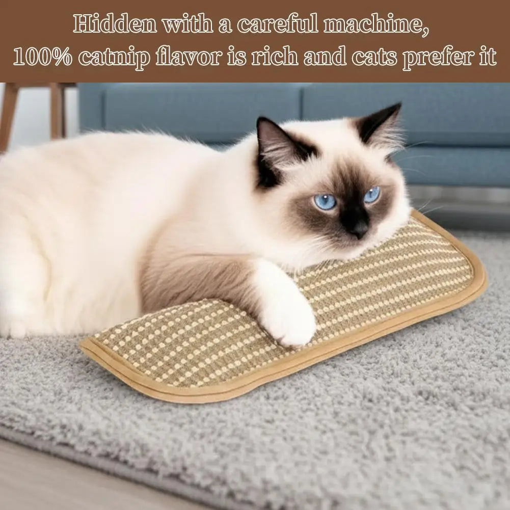 Catnip Pillow Cat Interactive Toys Indoor Kitten Scratching And