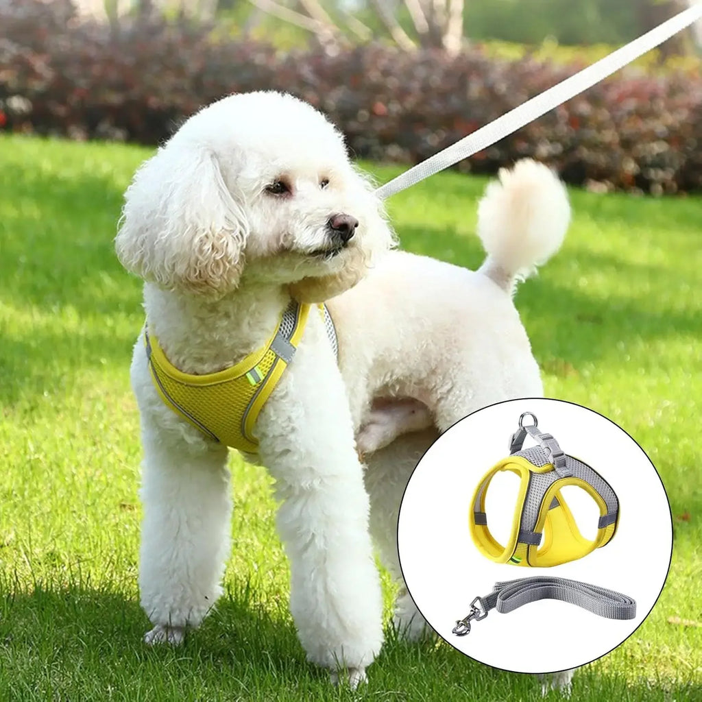 Small Dog Harness with Leash Set Anti Escape Vest Harness for French