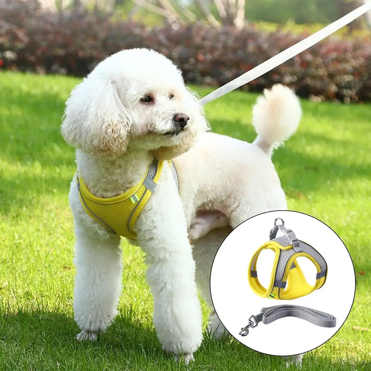 Small Dog Harness with Leash Set Anti Escape Vest Harness for French