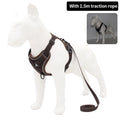 Dog Harness Leash Set For Small Medium Dogs Cat Hiking Adjustable