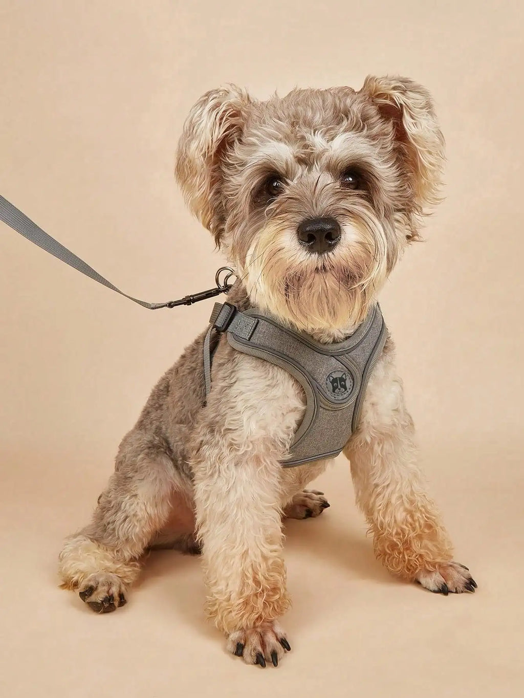 Dog Harness for Small Medium Dogs No Pull, Puppy Harness and Leash