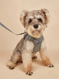 Dog Harness for Small Medium Dogs No Pull, Puppy Harness and Leash
