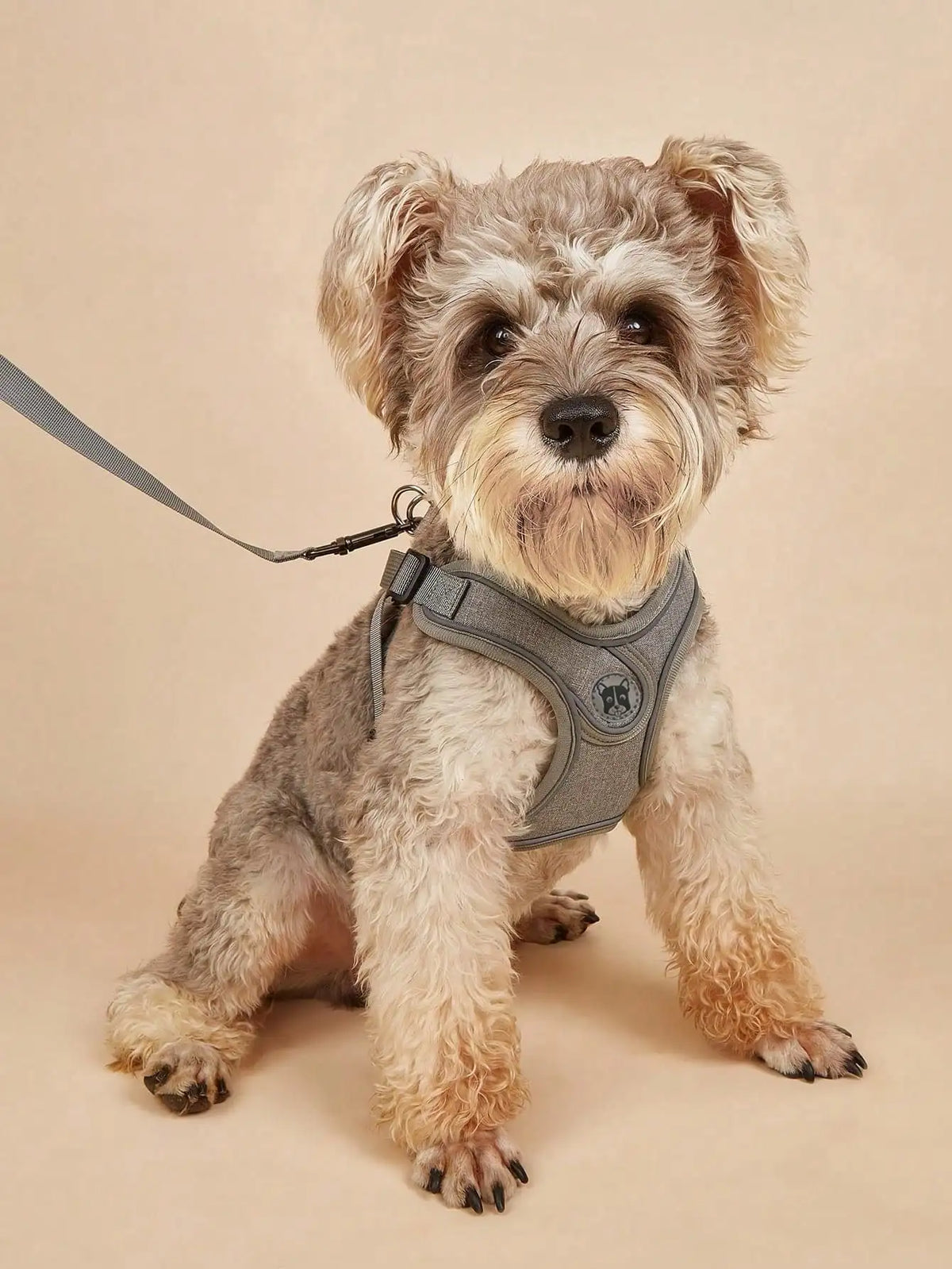 Dog Harness for Small Medium Dogs No Pull, Puppy Harness and Leash