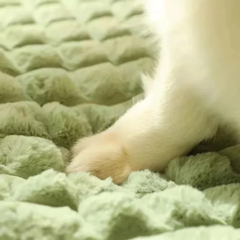 Washable Orthopedic Dog Bed