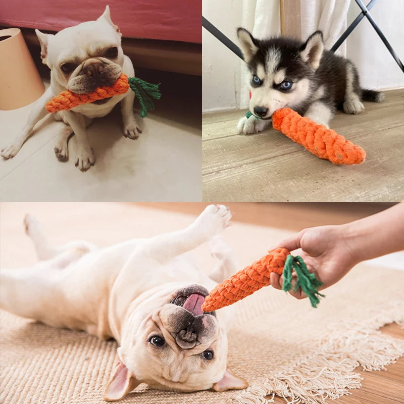 Pet Dog Toys Cartoon Animal Dog Chew Toys Durable Braided Bite