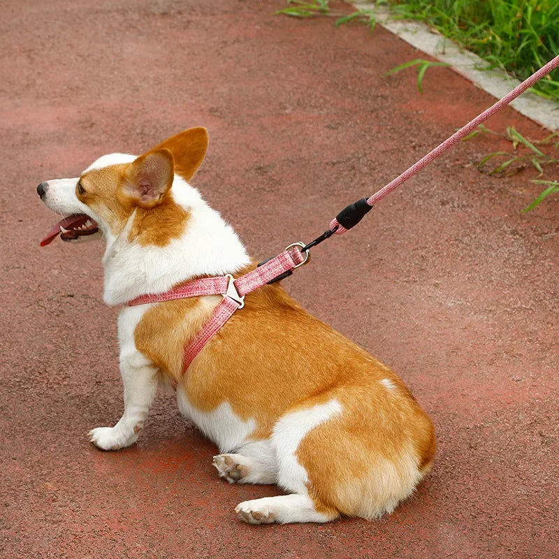 Dog Harness 1.2M Leash Set for Small Dogs Adjustable Puppy Cat