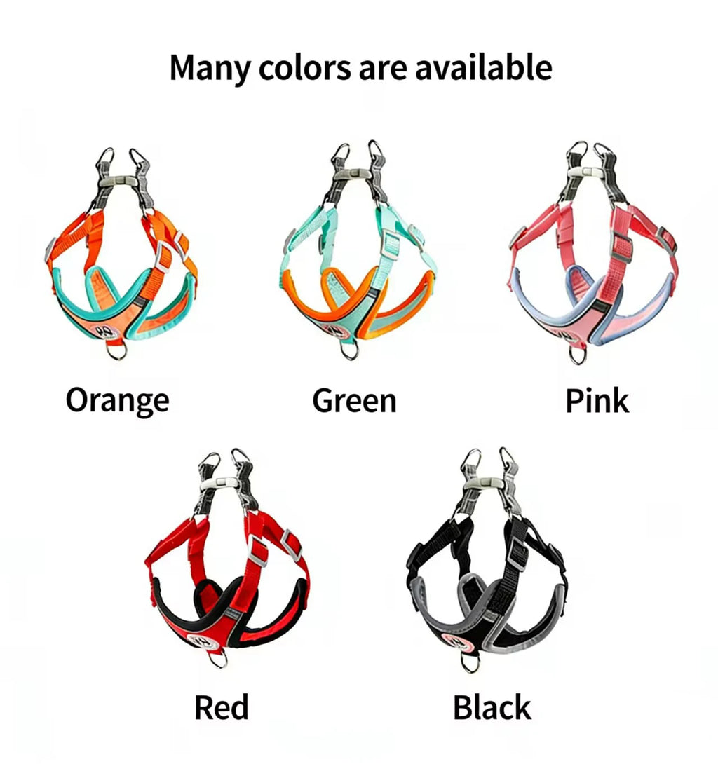 Dog Harness Leash Sets Adjustable Dog Harness for Small Dog Leash