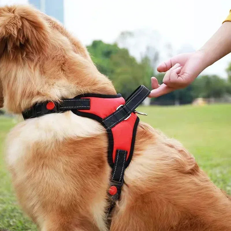 Dog Harness And Leash Set No Pull Adjustable Comfortable with Easy