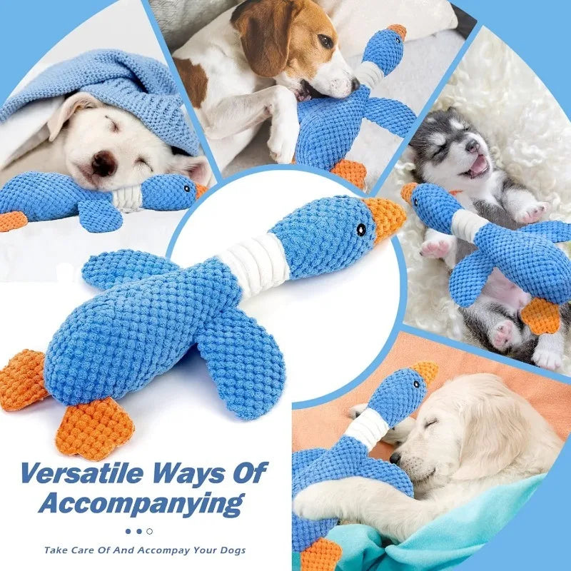 Cat Dog Toys for Aggressive Chewers Cats Dogs, Chew Squeak Toy Cats