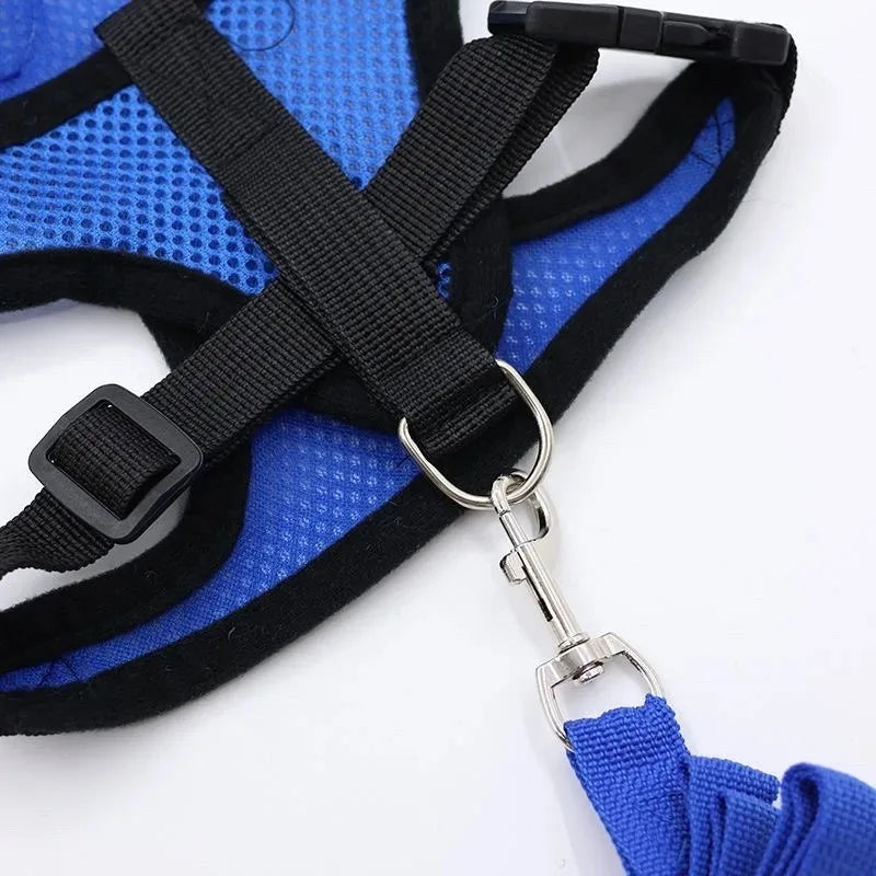 Cat Harness Vest Walking Lead Leash for Puppy Dogs Collar Polyester