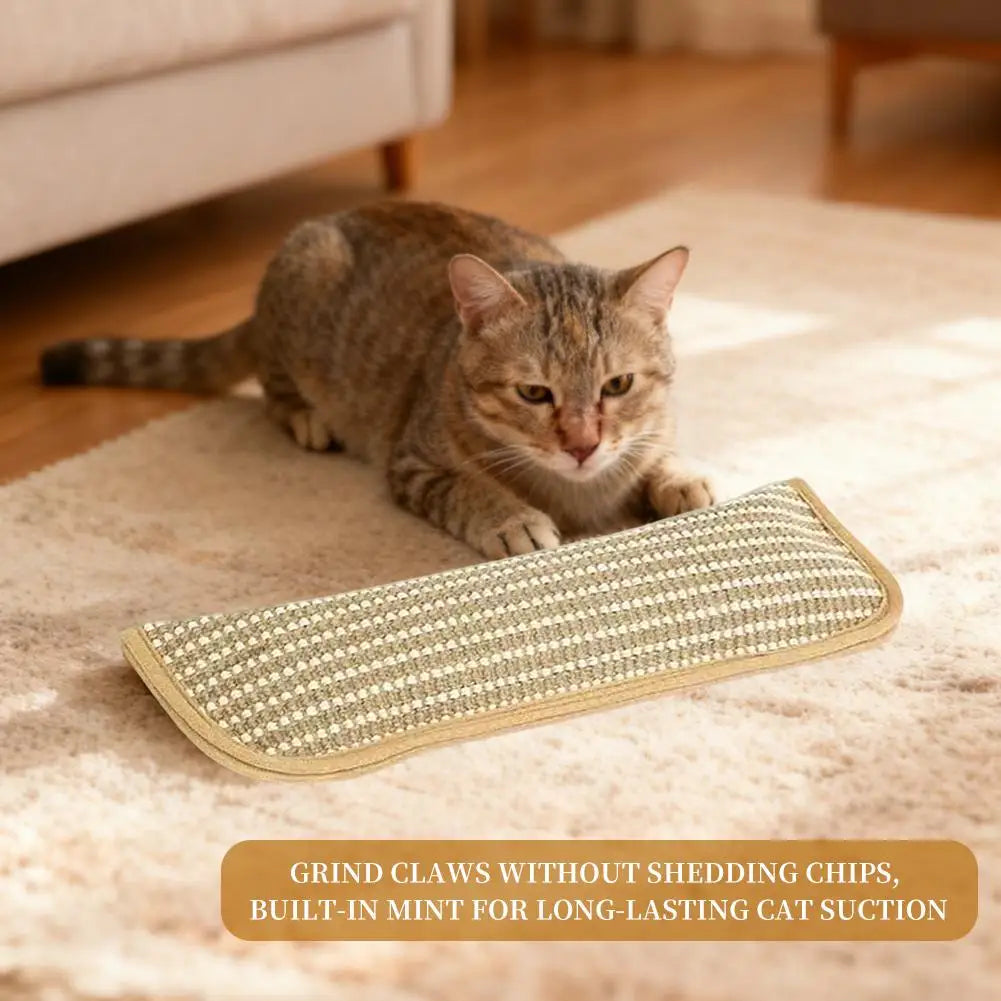 Catnip Pillow Cat Interactive Toys Indoor Kitten Scratching And