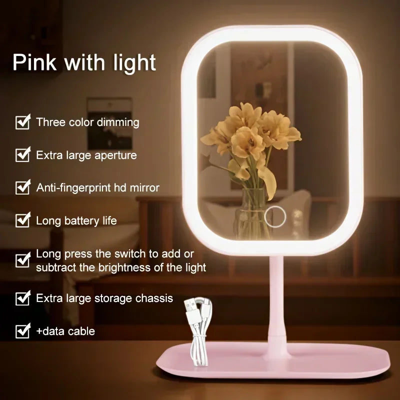 LED Vanity Mirror with Stand